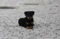 /album/fotogalerie-fina-flash/img-4011-1-jpg/